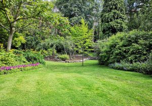 Optimiser l'expérience du jardin à Beaucens